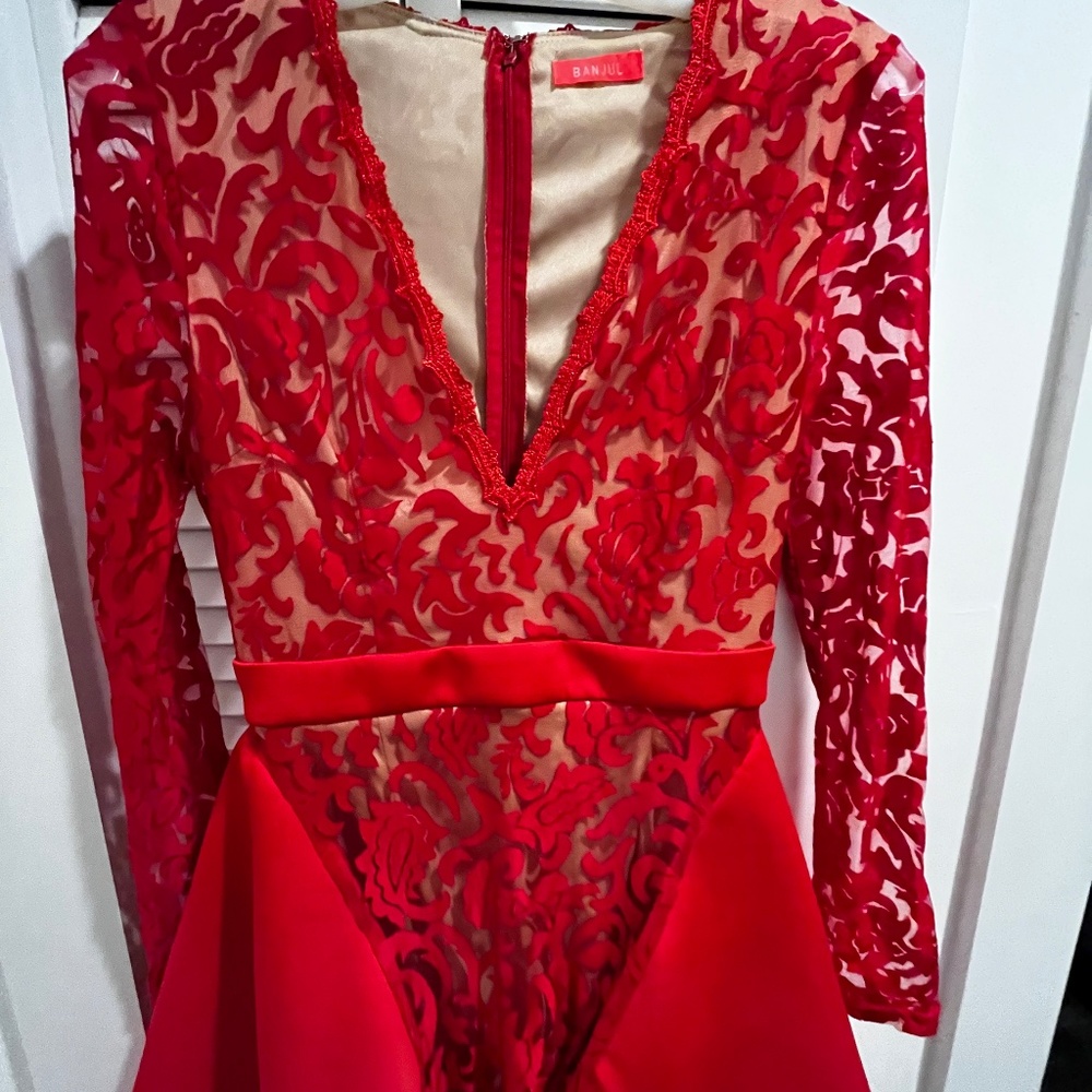 NWOT Low Cut  Red Lace Long Sleeve Dress With Nude Lining HOT HOT HOT - Picture 13 of 16